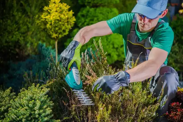 landscaping services Brocton